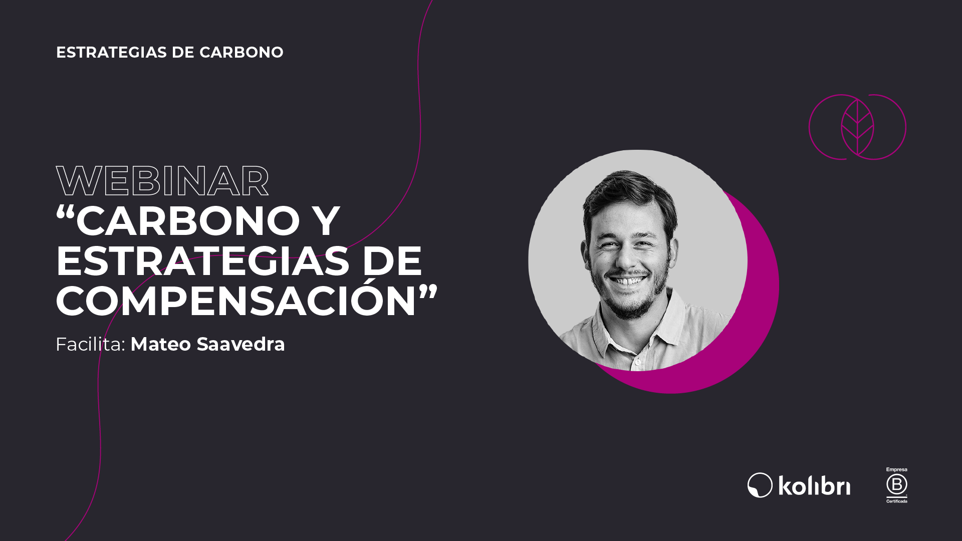 Carbono y estrategias de compensacion