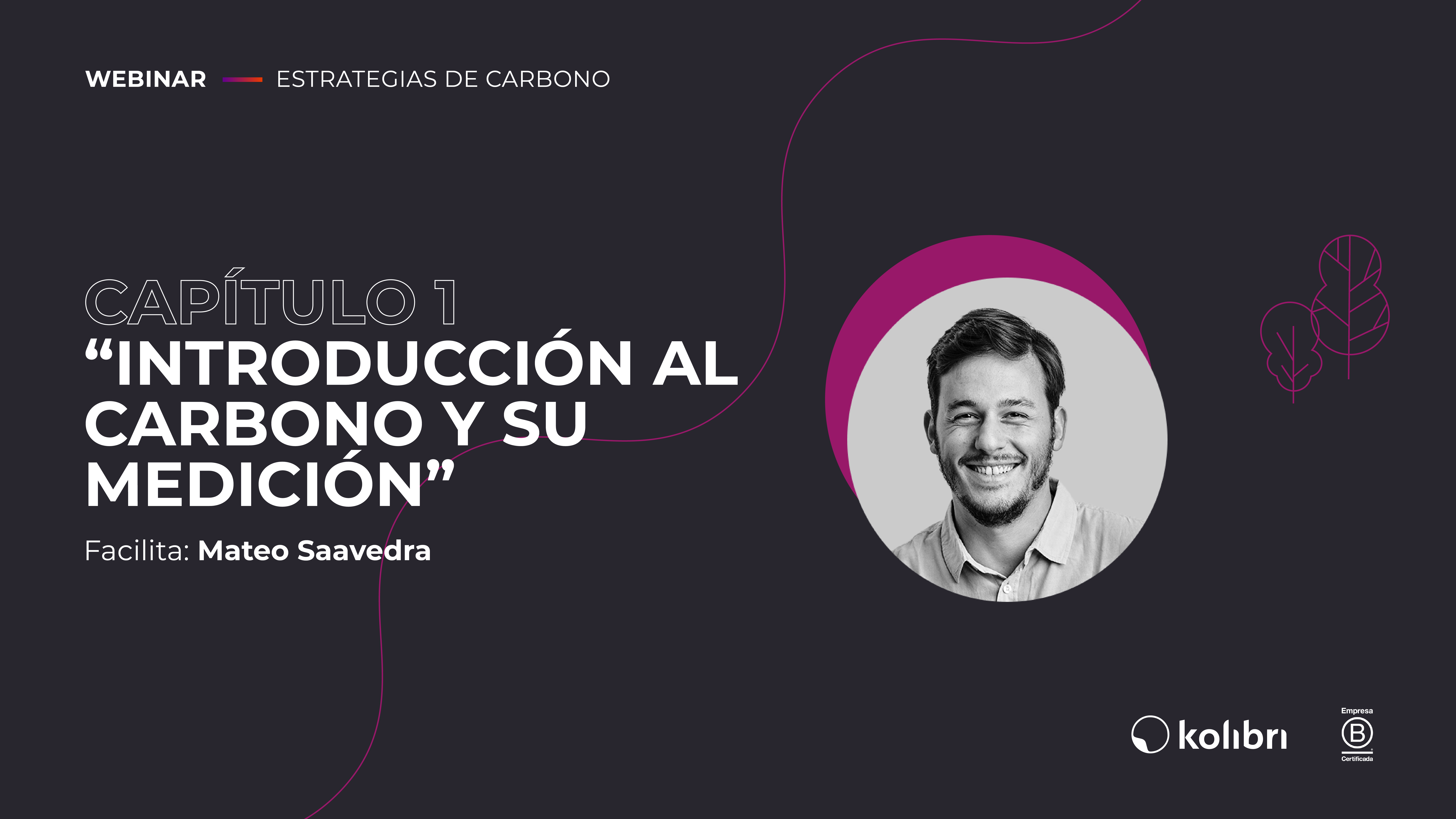 Introducción al carbono y su medición