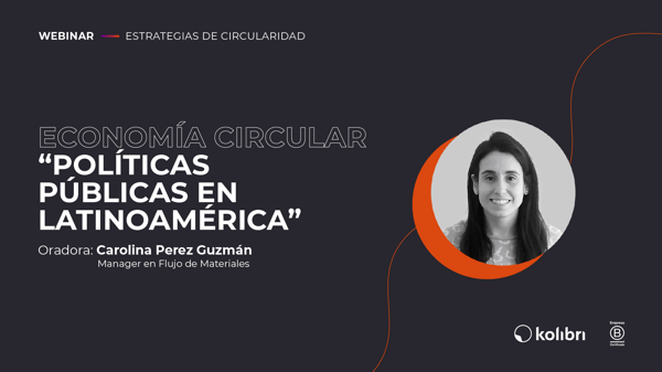 portada-webinar-caro_Mesa de trabajo 1